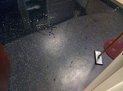 Strip & waxing of a tile floor ( before )