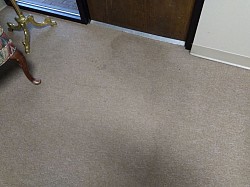 Carpeted  entrance rain water spots coming underneath door ( before )