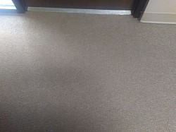 Carpeted entrance ( after  )